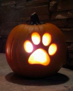 a dog paw light up pumpkin on the ground