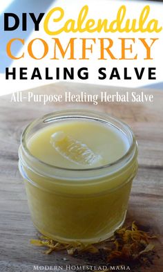 DIY Calendula Comfrey Salve - All Purpose Healing Herbal Salve Herbal Salve Recipes, Comfrey Salve, Healing Salve Recipe, Homemade Lotions, Calendula Salve, Healing Salve, Garden Therapy