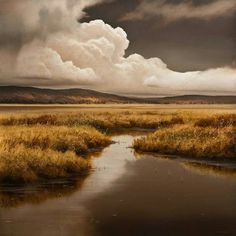 an oil painting of a river in the middle of a field with grass and clouds