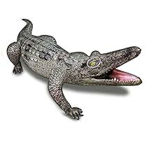 an alligator with its mouth open and it's tongue out, on a white background