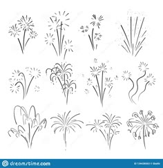 the different types of flowers and plants in black and white stock photo - image 3497