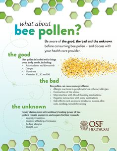 Be aware of the GOOD, THE BAD, AND THE UNKNOWN before consuming bee pollen. Potential Benefits: Bee pollen has been associated with improved muscle growth, increased metabolism, and decreased inflammation. It is also believed to have potential benefits in reducing stress, easing symptoms of menopause, and speeding up the healing process. Credit to OSF Healthcare. Bee Vitality Supplements, Bee Pollen Benefits For Breast, Bee Therapy