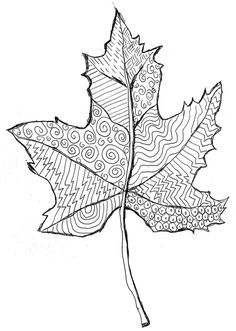 a drawing of a leaf with swirls on it