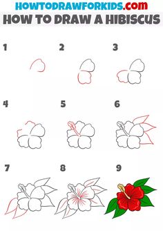 how to draw a hibiscus flower with step by step instructions for kids and beginners