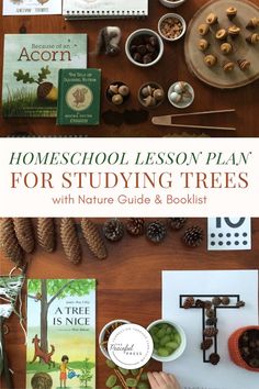 homeschool lesson plan for studying trees with nature guide and booklet