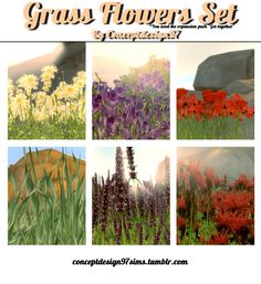 the grass flowers set is shown in four different colors and sizes, including red, purple,