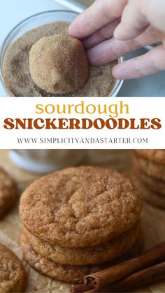 A tray of freshly baked sourdough snickerdoodles with golden cinnamon-sugar coating, made with sourdough discard. Adding Sourdough Discard To Recipes, Sourdough Snickerdoodle Cookies Recipe, Snickerdoodle Sourdough Cookies, Overnight Sourdough Cookies, Easy Discard Recipes Sourdough, Sourdough Discard Snickerdoodle, Sourdough Starter Discard Cookies, Things To Eat With Sourdough Bread, Sourdough Pretzel Bites Discard