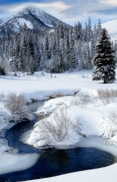 a river running through a snow covered field next to a snowy mountain with evergreen trees