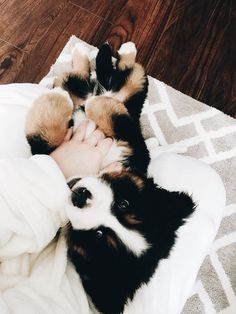 a black and white dog laying on top of a bed covered in a fluffy blanket