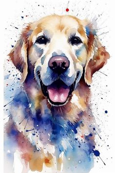 Golden Retriever Wasserfarben GoldenPals.de Watercolor Wallpaper Bildschirmhintergrund Hund Watercolor Wallpaper, Animals And Pets, Animal Pictures, Golden Retriever, Art Inspiration, Bubbles, Smartphone, Drawings, Dogs