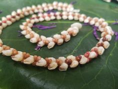 two necklaces made out of shells sitting on top of a leaf