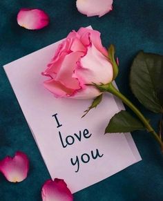 a pink rose sitting on top of a piece of paper with the words i love you