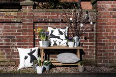 some plants and flowers are sitting on a bench near a brick wall in front of a potted planter