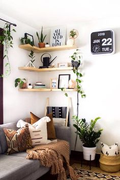 a living room filled with lots of furniture and plants on top of wooden shelving