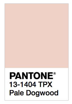 Pantone Pale Dogwood Pale Dogwood, Color Trends 2017, Pantone 2017, Pantone Palette, Pantone Colour Palettes, Color Inspo, Colour Board, Trifle, Color Of The Year