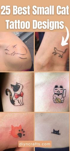 small cat tattoo designs on the arm and chest, with text overlay that reads 25 best