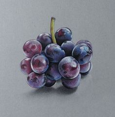 a drawing of some grapes on a gray surface with watercolor pencils in it