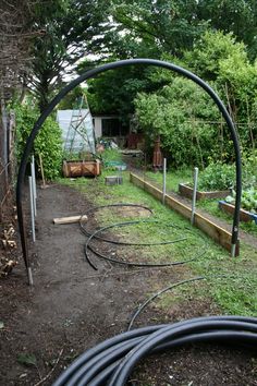 an outdoor garden with lots of plants and hoses