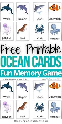 Ocean Animal Memory Cards Ocean Activities Preschool Montessori, Sea Week Preschool, Animal Themes For Preschool, Sea Animal Theme Preschool, Ocean Life Math Activities For Preschool, Sealife Activities Preschool, Montessori Sea Life Activities, Sea Animal Toddler Activities, Ocean Art Projects For Toddlers