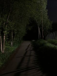 an empty road at night with trees on both sides and the street light turned on