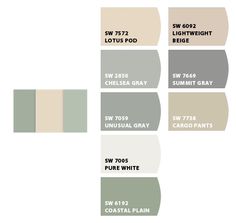 the color scheme for kitchen cabinets and appliances