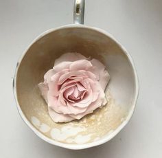 a pink flower is in a white bowl