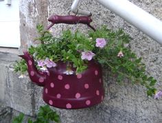 a purple watering can with pink and white flowers in it