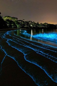 the beach is lit up at night with blue lights in the water and trees around it