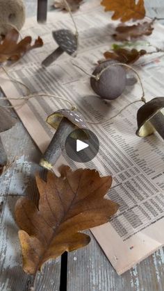 leaves and acorns laying on top of newspaper