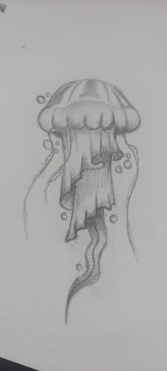 a pencil drawing of a jellyfish with bubbles on it's head and tail