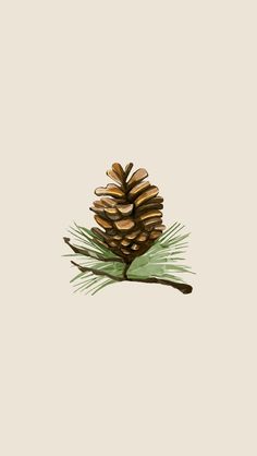 a pine cone sitting on top of a tree branch