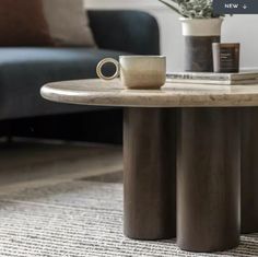 a coffee table sitting in front of a couch with a plant on top of it