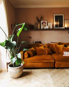 a living room with a couch, potted plant and pictures on the wall above it