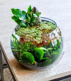 a glass bowl filled with plants on top of a table