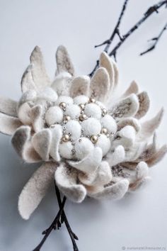 a close up of a flower on a white surface