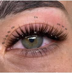 Eyelash Extensions Natural Cat Eye, Long Cat Eye Classic Lash Extensions, Squirrel Eyelash Extensions, Short Volume Lash Extensions, Natural Cat Eye Hybrid Lashes, Eyelashes Hybrid Cat Eye, Wispy Lash Extensions, Extreme Cat Eye Lash Extensions