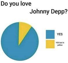 a pie chart with the words do you love johnny depp? yes but in yellow