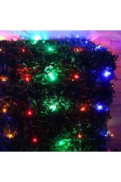 Shop For 4' x 6' Multicolor 5mm LED Christmas Net Lights Christmas Net Lights, Bushes And Shrubs, Net Lights, Net Design, Work Wreath Forms, Patriotic Christmas, Lantern Candle Decor, Work Wreath, Water Globes