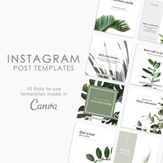 the instagramm post templates are designed to look like plants and leaves, with green