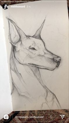 a pencil drawing of a dog's head on top of a piece of paper