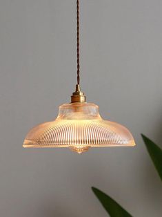 a light fixture hanging from a ceiling in a room with a potted plant behind it