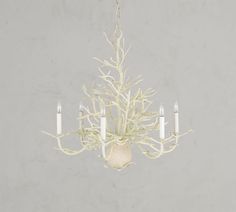 a white chandelier with five candles hanging from it's center and branches in the middle