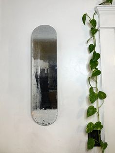 a white wall with a mirror on it next to a green plant and a potted plant