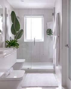 a white bathroom with plants in the window