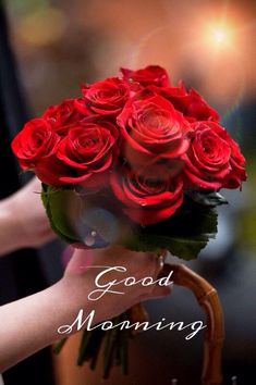 a woman holding a bouquet of red roses with the words good morning written on it