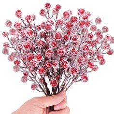 PRICES MAY VARY. Set of 24 artificial red berry stems, a bargain for you. The length of each berry is about 23 cm / 9 inches, fit for various decors. The stems are made from iron wire. The berries are made from foam. The branches can be slightly bent and operate according to your needs. Red berry picks are flocked with snow, making the red berries look more lifelike, and creating the festive and warm atmosphere for the coming holiday and winter. The burgundy red berry twigs are perfect decoratio Christmas Tree Spray, Tree Fillers, Xmas Decorations Diy, Christmas Tree Branches, Wreath Making Supplies, Diy Valentines Crafts, Holly Berry, Kraf Diy, Craft Wedding