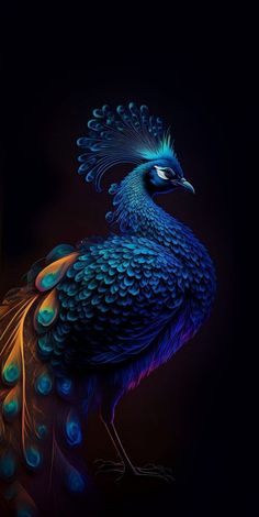 a blue and yellow peacock with its feathers spread out, standing in front of a black background