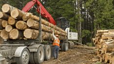 a man in an orange vest standing next to a large truck with logs on it