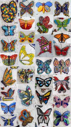 many different colored butterflies are arranged on the wall