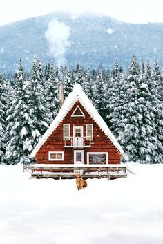 a cabin in the snow surrounded by pine trees